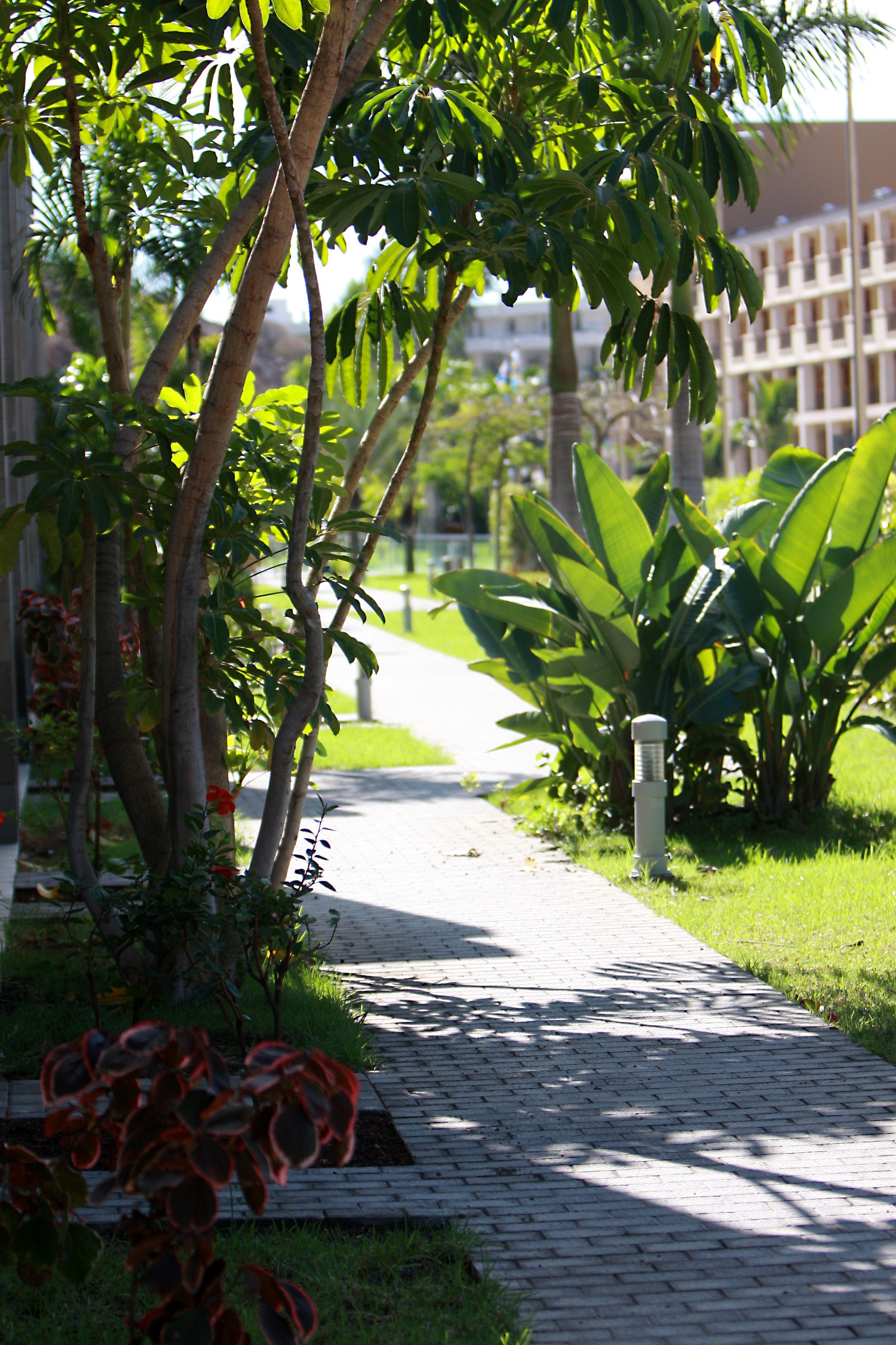 Hotel THe Costa Taurito&Aquapark Esterno foto